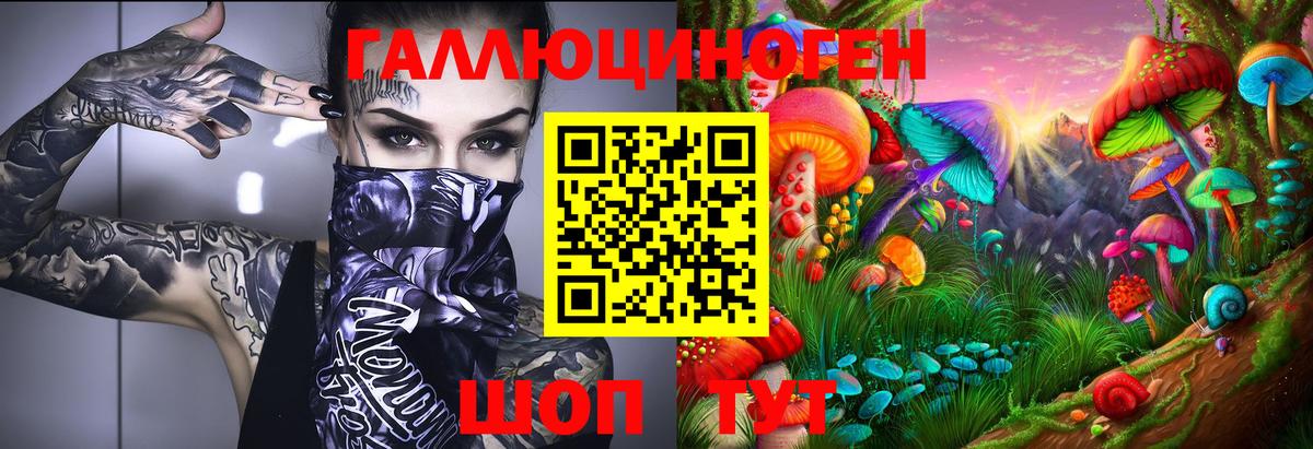Галлюциногенные грибы Psilocybe Амурск